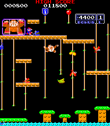 Donkey Kong Jr.
