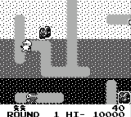 Dig Dug