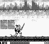 Teenage Mutant Ninja Turtles - Fall of the Foot Clan