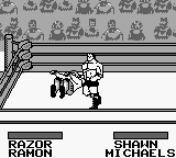 WWF King of the Ring
