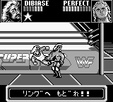 WWF Superstars