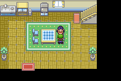 Pokemon Luigi Green