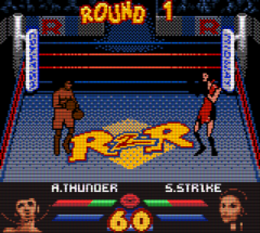 Ready 2 Rumble Boxing