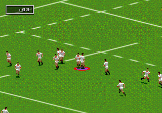 Rugby World Cup 1995
