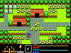Golden Axe Warrior