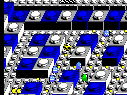Pac-Mania