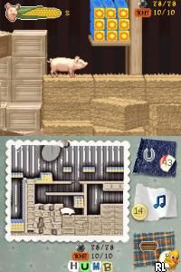 Charlotte's Web