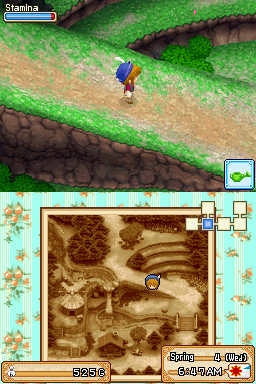 Harvest Moon DS - Grand Bazaar