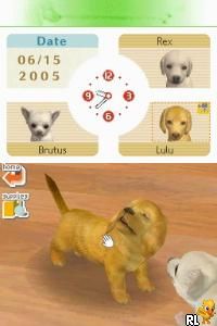 Nintendogs - Lab & Friends