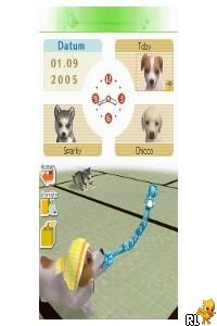 Nintendogs - Labrador & Friends