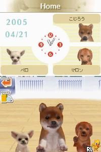 Nintendogs - Shiba & Friends