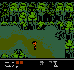 Snake's Revenge