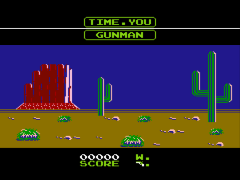 Wild Gunman