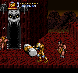 Battletoads in Battlemaniacs