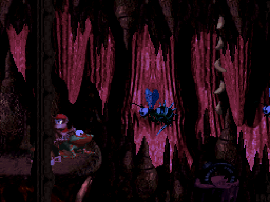 Donkey Kong Country