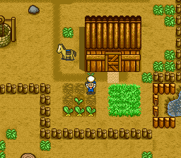 Harvest Moon