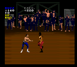 Pit-Fighter
