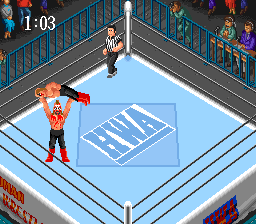 Super Fire Pro Wrestling